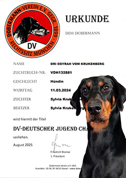 Herbst ZTP Ori Osyrah vom Krukenberg